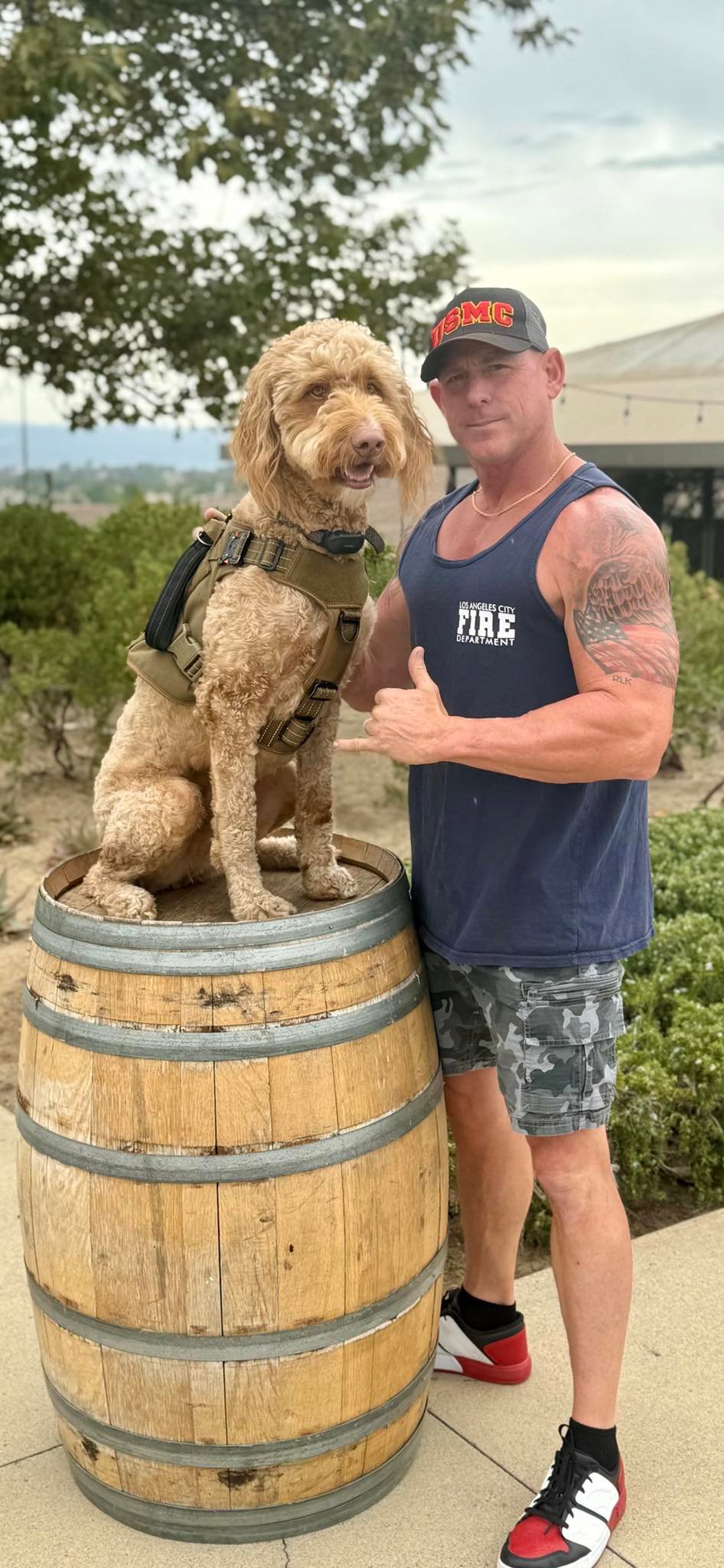 Happy doodle dog posing for a photo